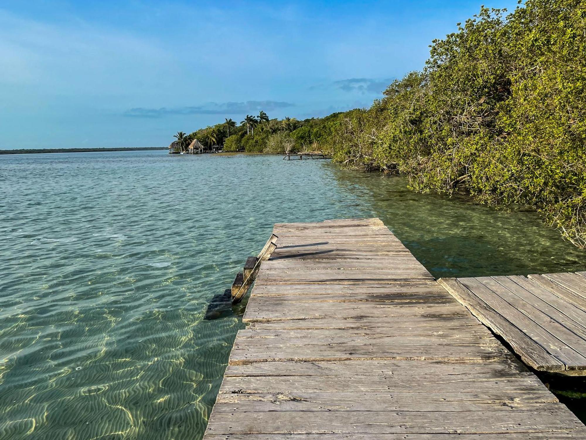 Bufo Alvarius Sanctuary Bacalar Buenavista  Bagian luar foto