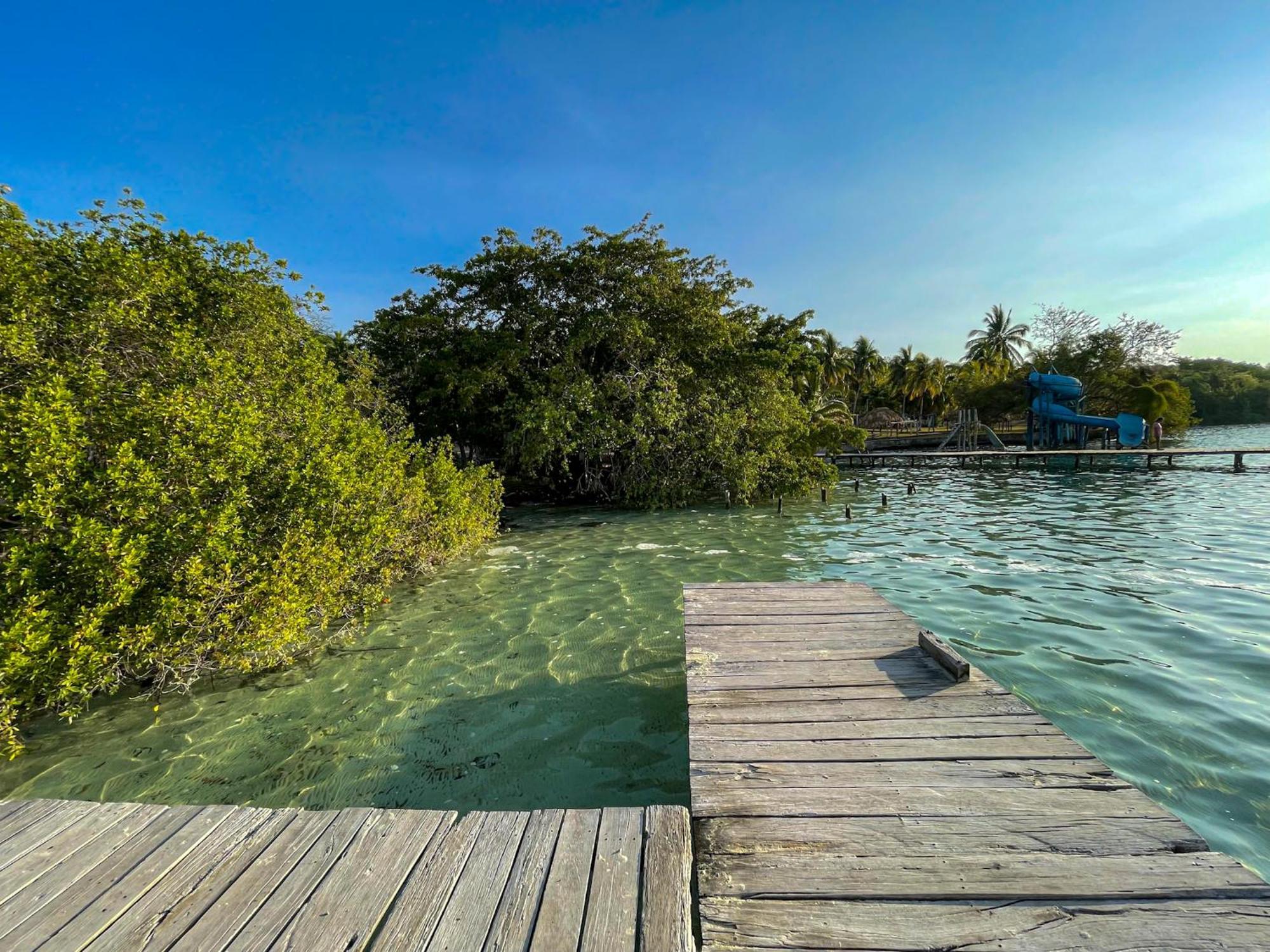 Bufo Alvarius Sanctuary Bacalar Buenavista  Bagian luar foto