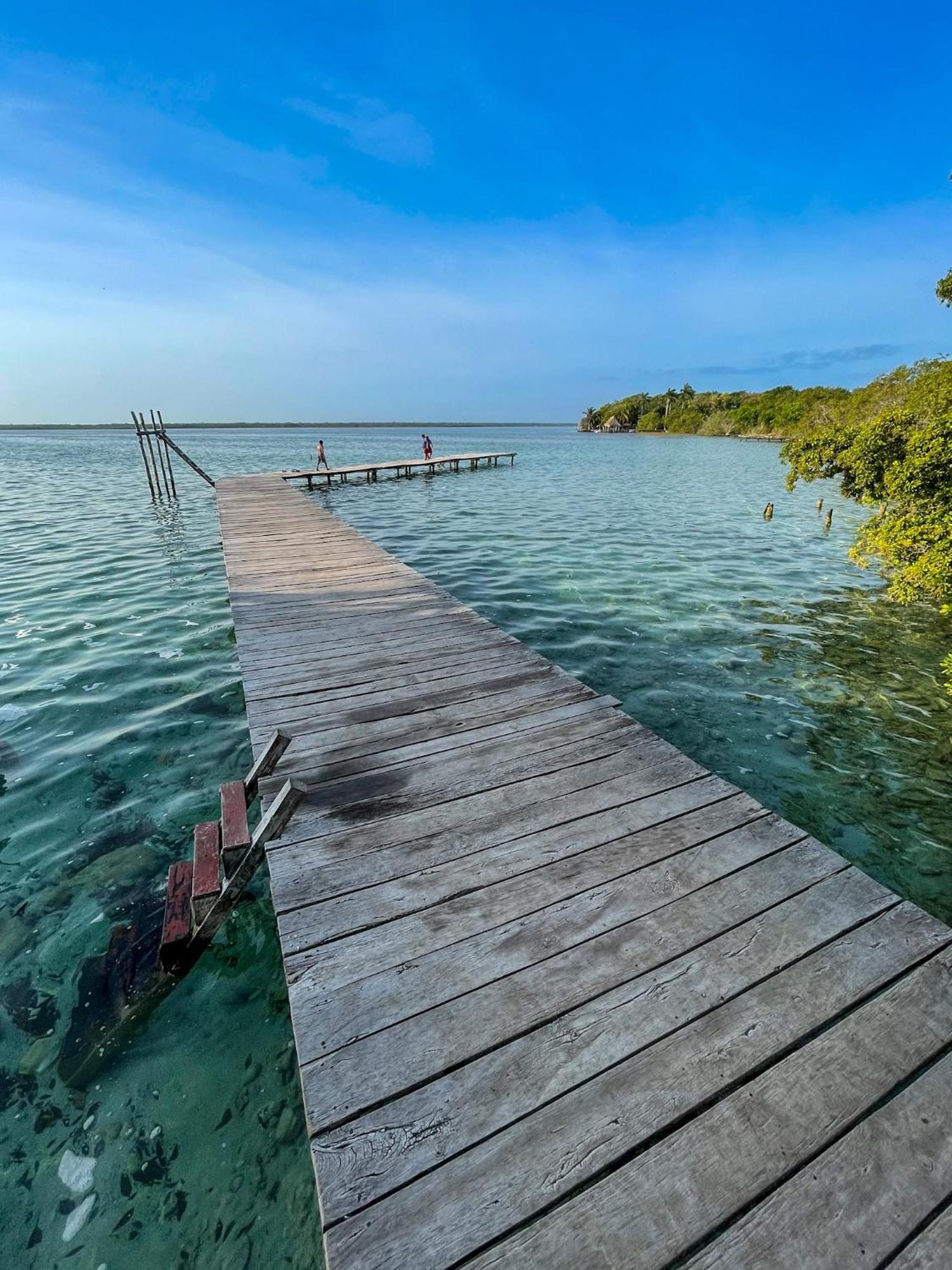 Bufo Alvarius Sanctuary Bacalar Buenavista  Bagian luar foto