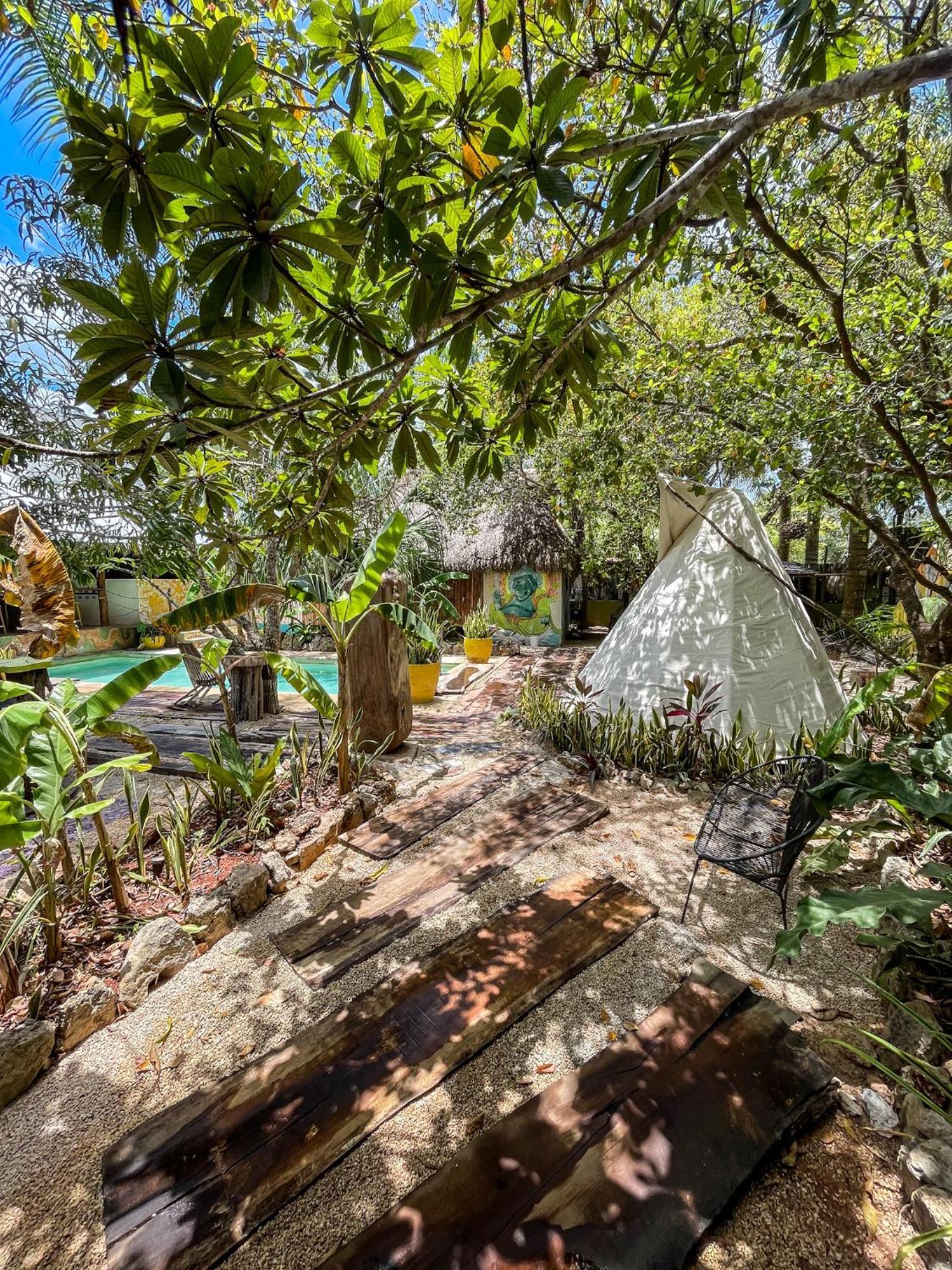 Bufo Alvarius Sanctuary Bacalar Buenavista  Bagian luar foto