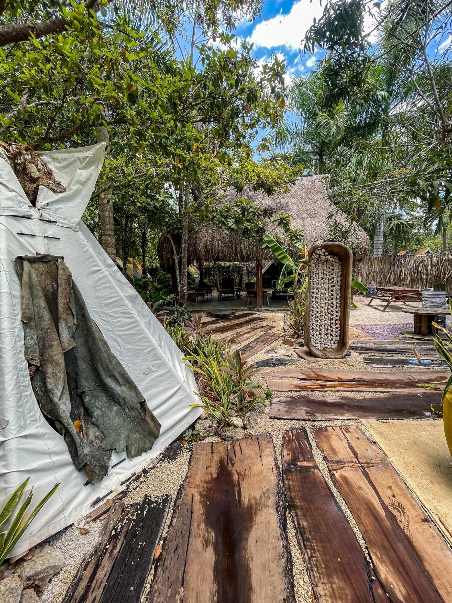 Bufo Alvarius Sanctuary Bacalar Buenavista  Bagian luar foto